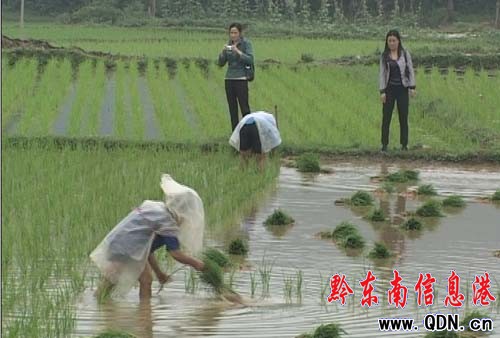 �_(t��i)���h���ˮ������0.61�f(w��n)�����D��