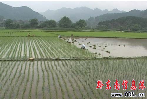 �_(t��i)���h���ˮ������0.61�f(w��n)�����D��