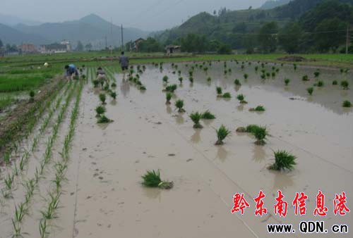 �����hˮ���߮a(ch��n)ʾ���c(di��n)����������Թ���(�D)