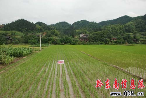 �����hˮ���߮a(ch��n)ʾ���c(di��n)����������Թ���(�D)