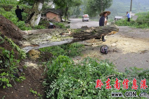 �P��޴󻱘��ʡ�����D��