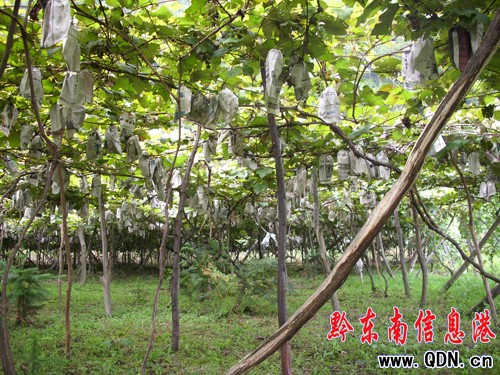 ���Ѵ��ϡ������¡�������ɽ�r(n��ng)�������¸���