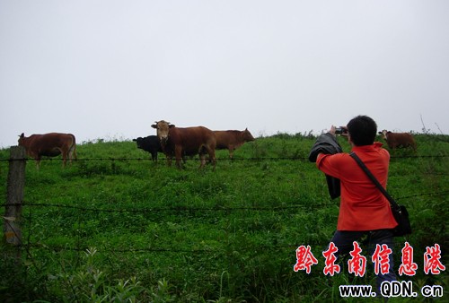 ���ӡ��\���ִ������μѵ�------��ɽ�磨�D��