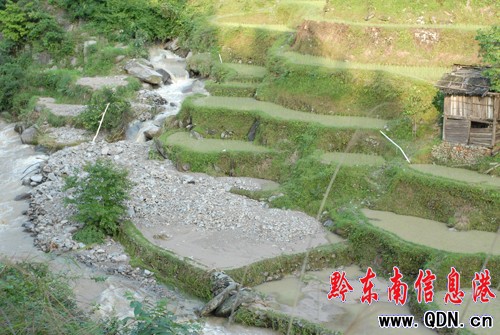 從江縣遭受暴雨襲擊 86324人受災(組圖)