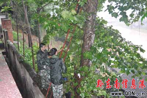 �Ř䡰������Σ���W(xu��)����ȫ �Ľ����������[��