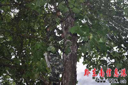 �Ř䡰������Σ���W(xu��)����ȫ �Ľ����������[��