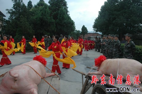 ��ƽ���P����Ť�������԰lο��������ʿ���D��