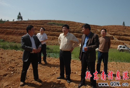 黎平“兩茶”產(chǎn)業(yè)扶貧項目超額完成(圖)