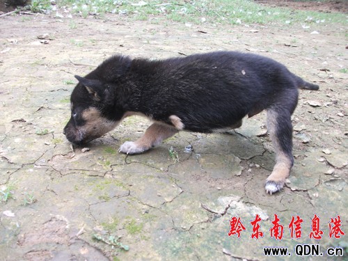 �齭���F���_�����D��