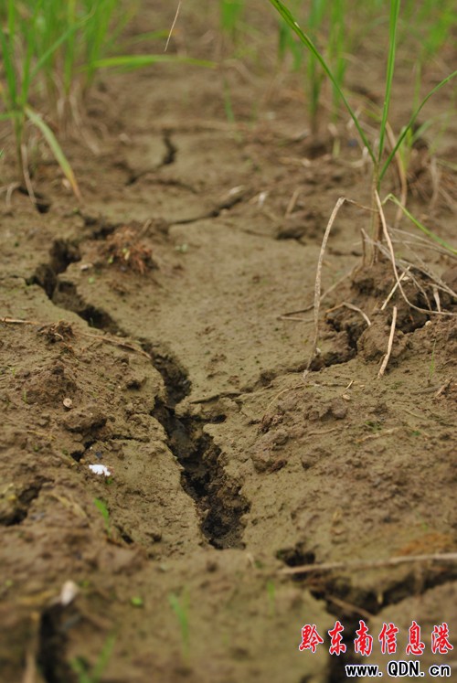 �억���������硰���ʡ����M�D��