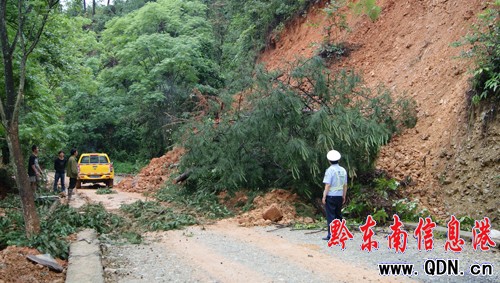 ������ʡ��202���������\����̎�������D��