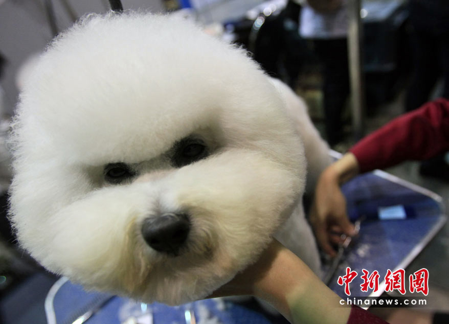 ��Ȯ���n���H�������㡱��ِ