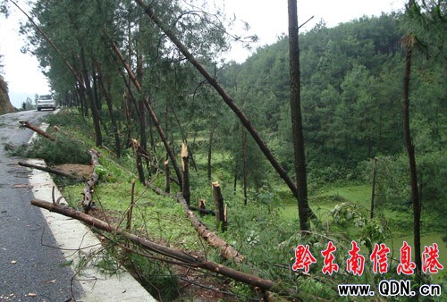 凱里大風洞遭遇暴雨襲擊 73公頃作物絕收(圖)