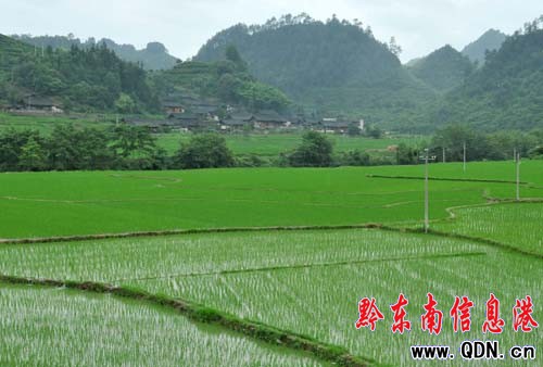 ��2�f���s���ƷN����3�f�r���¸����D��