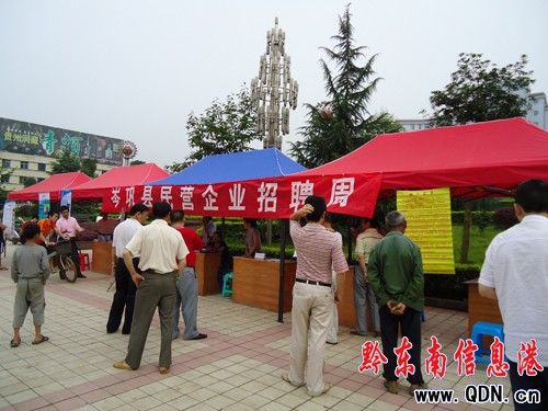 岑鞏舉辦民營企業招聘會 提供就業崗位1210個