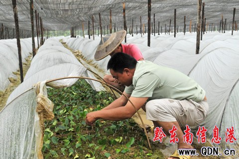 �얿h�ӿ�l(f��)չ�Ͳ�a(ch��n)�I(y��)���D��