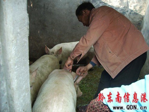 �h�T�ɲ��R���  �ӏ��ش�����߲����أ��D��