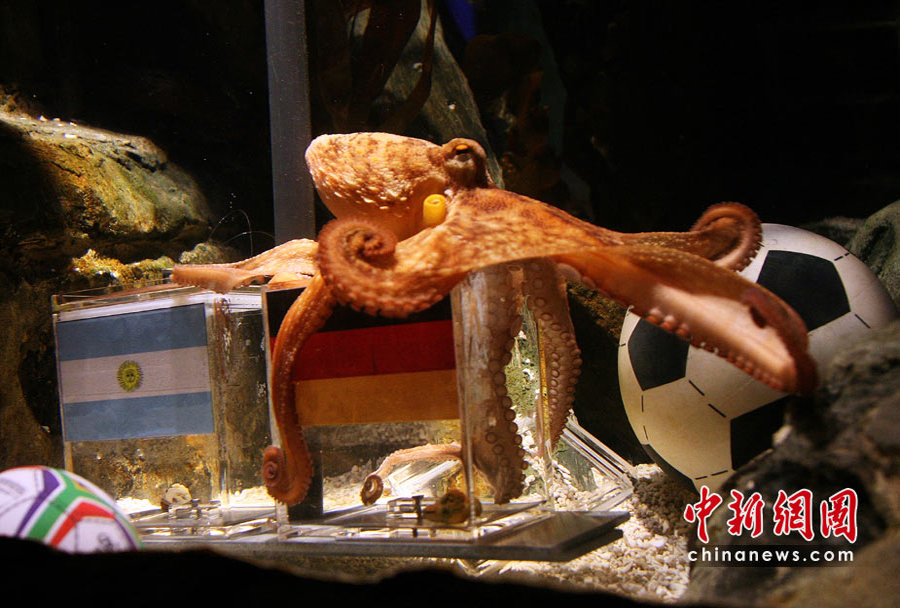 �������~�ٶ��A�y���籭�����ٰ���͢