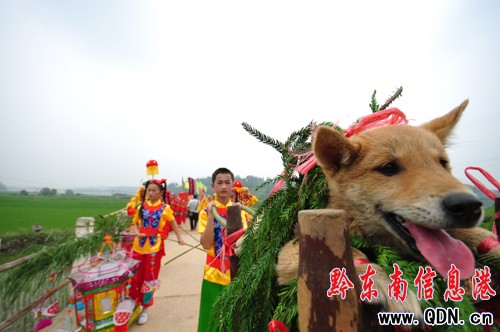 3000Ⱥ���͔z�ѡ��������»�ˮ�������D��