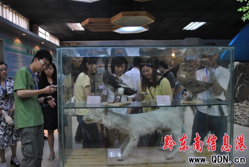 ������У�qՓ��Ӣ�����l��կ���������L��