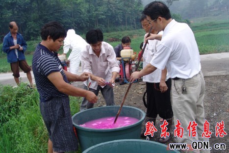 天柱縣舉行稻縱卷葉螟稻飛虱機(jī)動(dòng)聯(lián)防示范(圖)