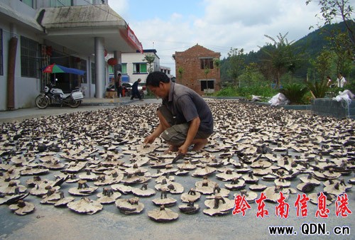 �`֥���r���¸��Ľ�耳ף��D��