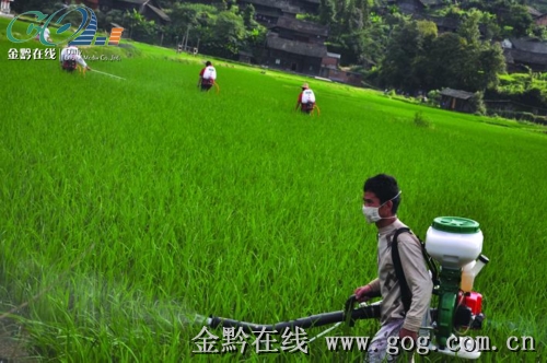 �����r�嵾�ﺦ�x�M���w���D��