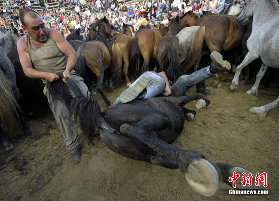 ���������y��Ұ�R�����ݡ����R���