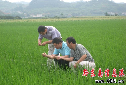 �SƽͶ��10�fԪ�_չˮ�����xΣ�����Σ��D��