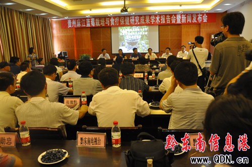 我省藍莓研究獲突破 多食用可防肝臟纖維化(圖)