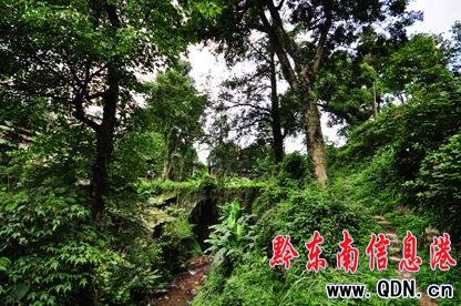 古樸迷人的侗寨彥洞(圖)