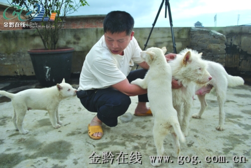 һֻ��˾Ȯ�ꡰ�a��2�fԪ���D��