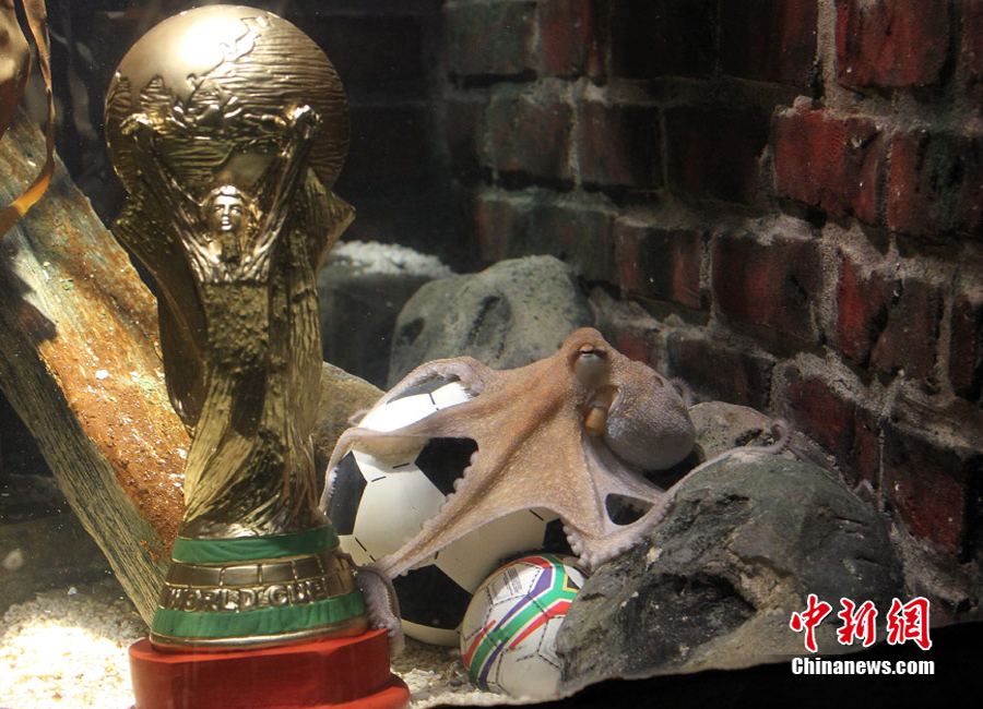 �������~���_�@�C�������񱭡�����������