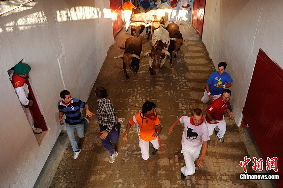 ��������ţ�������xĻ