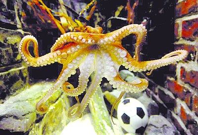 �����~�硱�򌢸��Ї�ˮ���^(�D)