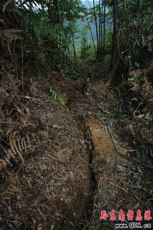 ȫ���h��܊�C�Pȫ�����ȸ��ﶱկ���|�ĺ�(�D)