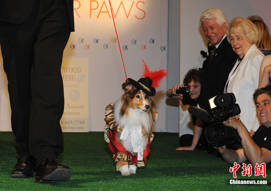 ���������e�Ќ��ﹷ�r�b��