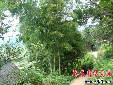 ��ƺ��Ȼ�L(f��ng)�����������M�D��