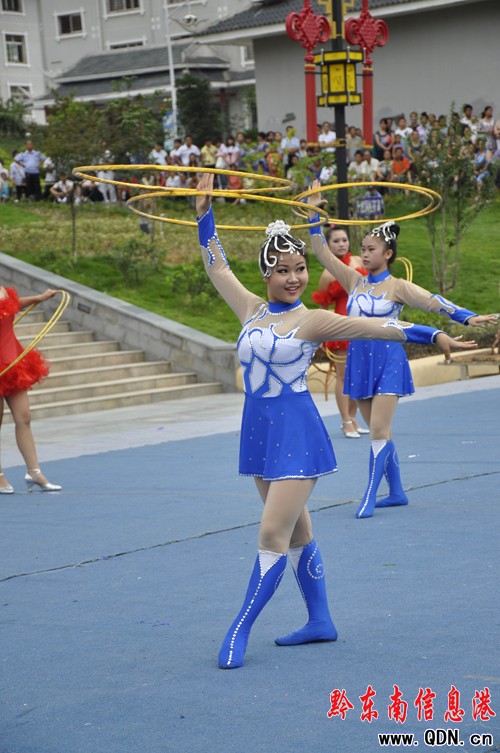 ��2010�F�ݡ���������ɯ�Ļ�����¡���_Ļ(�D)