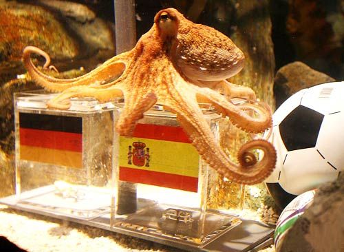 �w���鱣�o�����ᳫ�h�������~���_�Św��(�D)