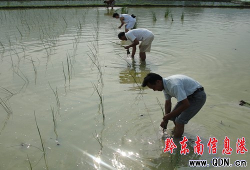 �\���Nֲݩ�j���r���¸�����·���D��