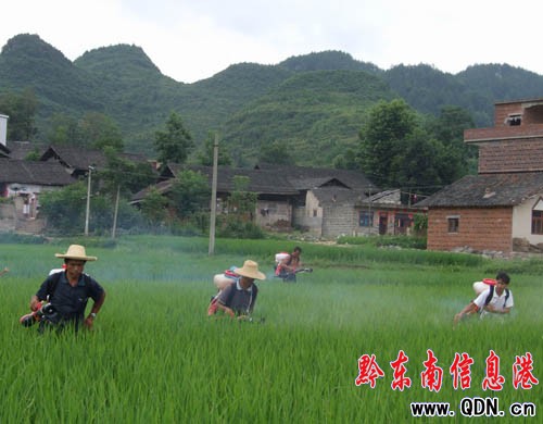 ��Ͷ��12�fԪ���ˮ�����x������𣨈D��