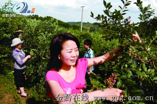 �齭�{ݮ�M��ʢ�a�ڣ��D��