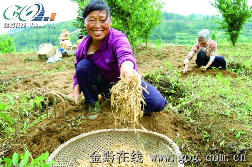 ʩ��̫�Ӆ������Ј����D��