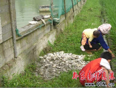 ��ɽһ�����~������Ͷ��? �f�l���~�������У��D��