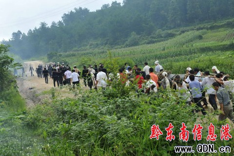 �P����ϵ���կ��Y���M�D��