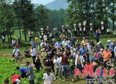 �P����ϵ���կ��Y���M�D��