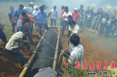 �P����ϵ���կ��Y���M�D��