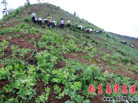 ���ӽ���ٮ��Z��鱿Ƽ�ʾ�����Ի��س���Ҏģ