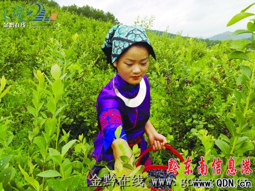 �齭9000���{ݮ��� �οͿ���@ժ�����D��